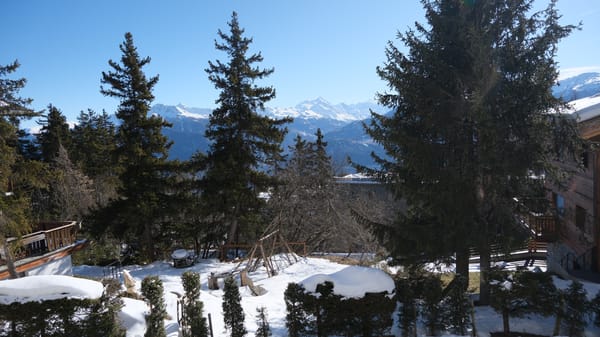 Sorecrans 4 — photo 5